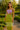Woman in lime and lilac color block cutout midi dress standing outdoors in golden-hour spring garden.