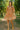 Woman in a patterned dress standing in an orange grove