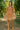 Woman in a patterned dress standing in an orange grove